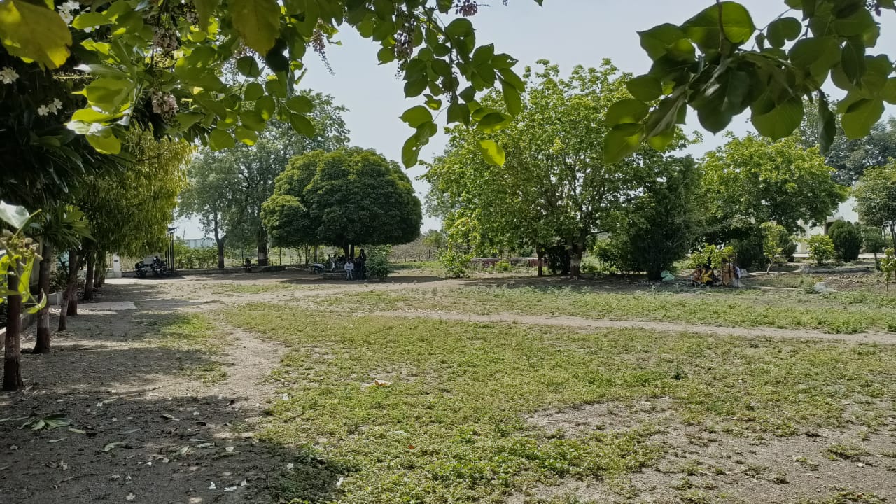 College campus scene